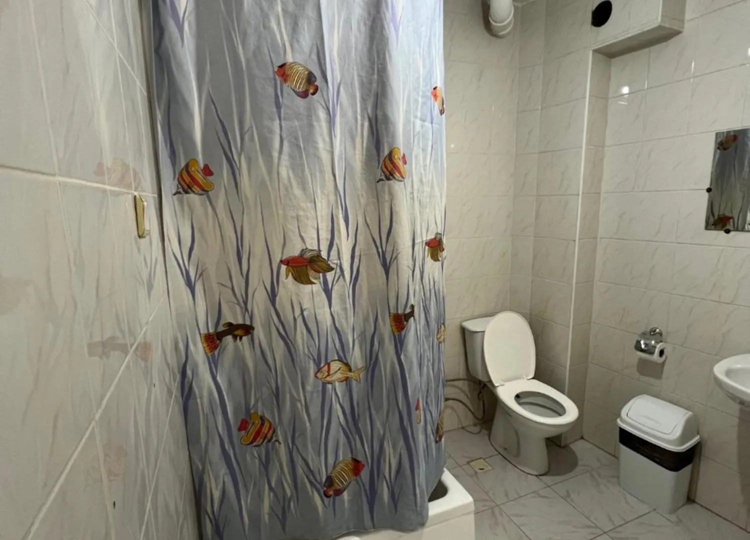 איסטמבול Alim Otel 0*,